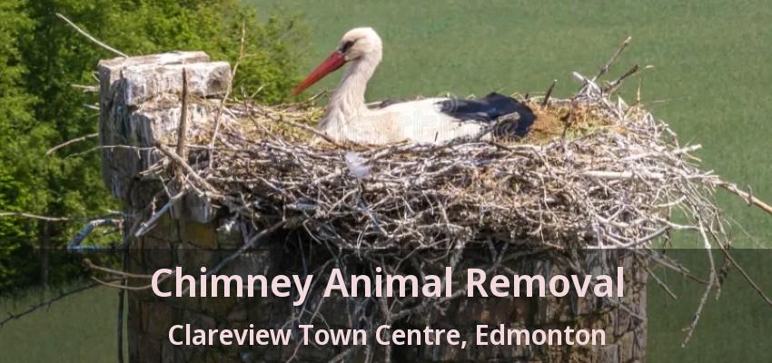 Chimney Animal Removal Clareview Town Centre, Edmonton - AB