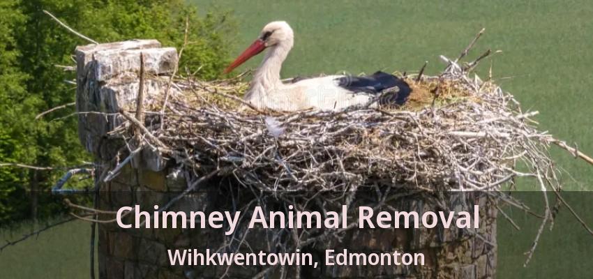 Chimney Animal Removal Wihkwentowin, Edmonton - AB