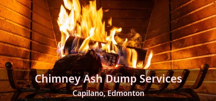 Chimney Ash Dump Services Capilano, Edmonton - AB