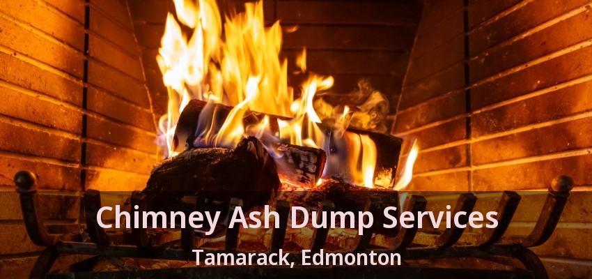 Chimney Ash Dump Services Tamarack, Edmonton - AB