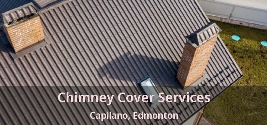 Chimney Cover Services Capilano, Edmonton - AB