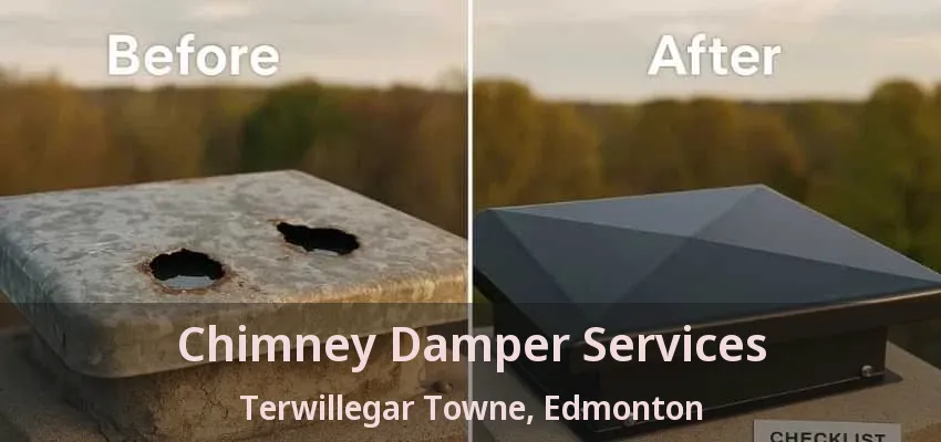 Chimney Damper Services Terwillegar Towne, Edmonton - AB