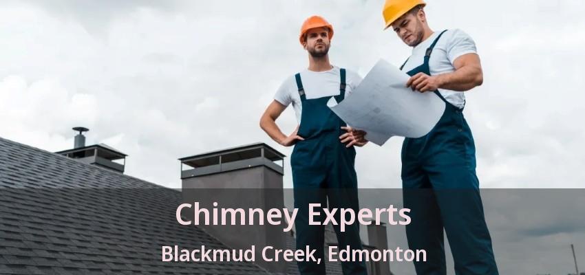 Chimney Experts Blackmud Creek, Edmonton - AB