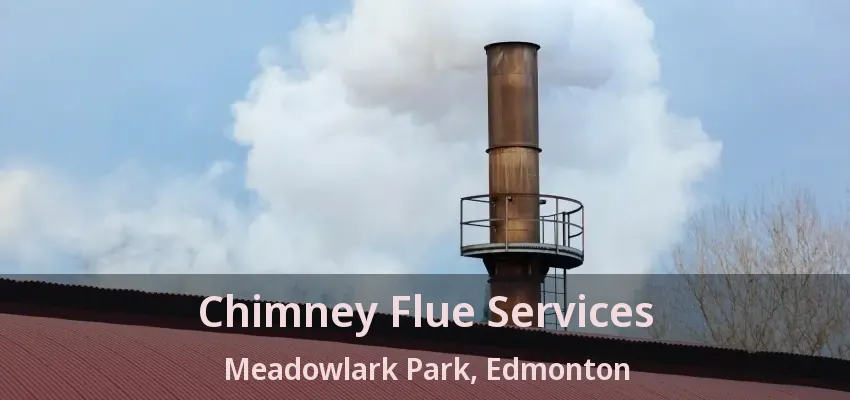 Chimney Flue Services Meadowlark Park, Edmonton - AB