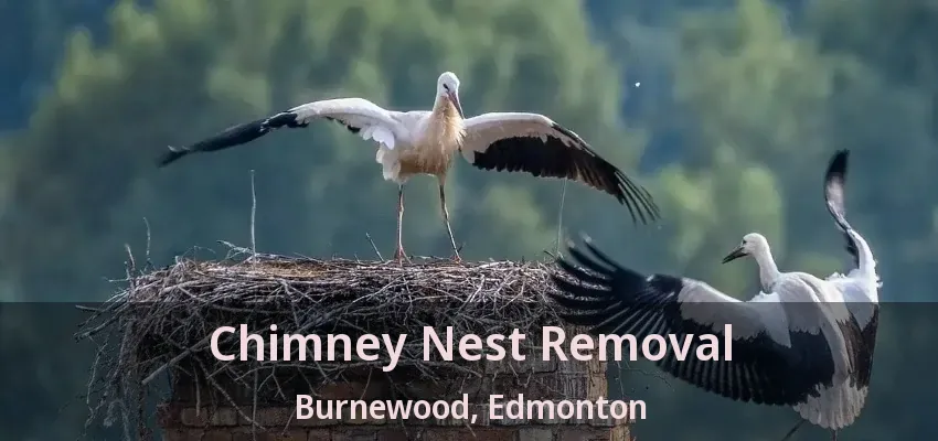 Chimney Nest Removal Burnewood, Edmonton - AB