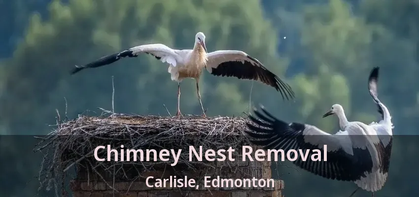 Chimney Nest Removal Carlisle, Edmonton - AB
