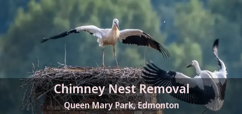 Chimney Nest Removal Queen Mary Park, Edmonton - AB