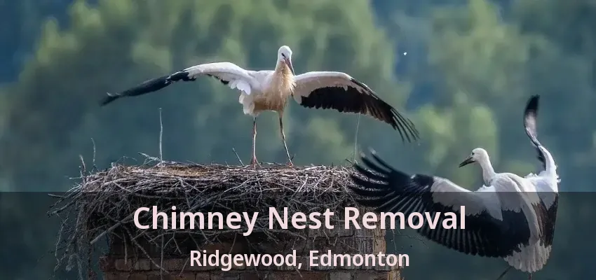 Chimney Nest Removal Ridgewood, Edmonton - AB