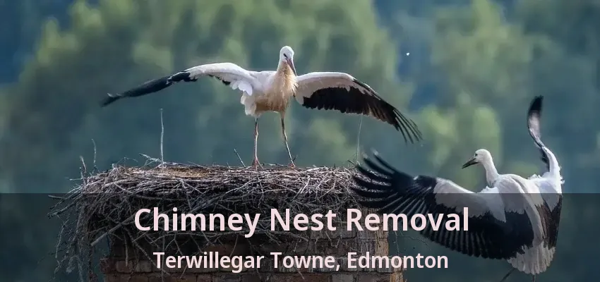 Chimney Nest Removal Terwillegar Towne, Edmonton - AB