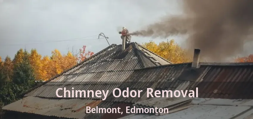 Chimney Odor Removal Belmont, Edmonton - AB