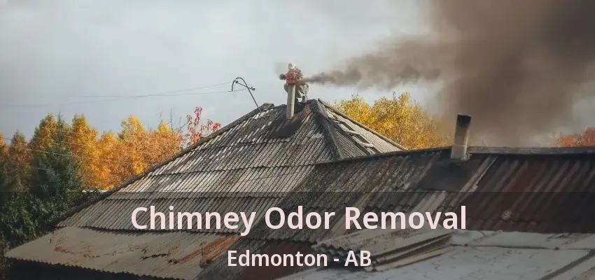 Chimney Odor Removal Edmonton - AB