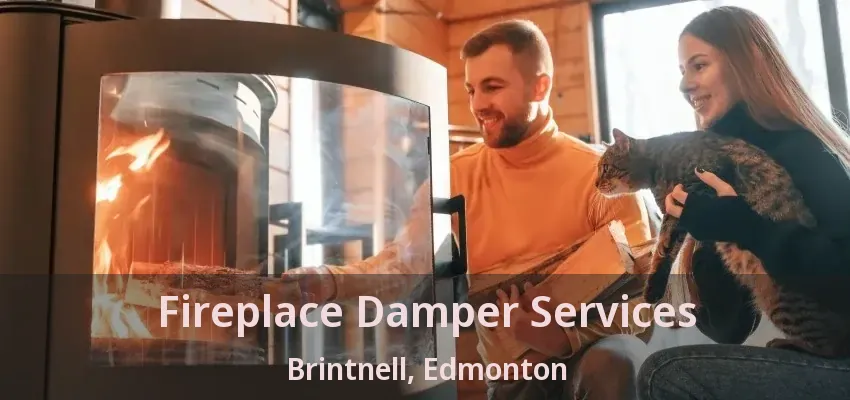Fireplace Damper Services Brintnell, Edmonton - AB