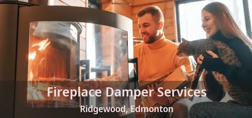 Fireplace Damper Services Ridgewood, Edmonton - AB