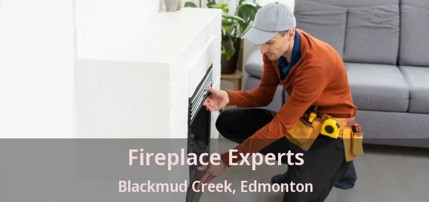 Fireplace Experts Blackmud Creek, Edmonton - AB