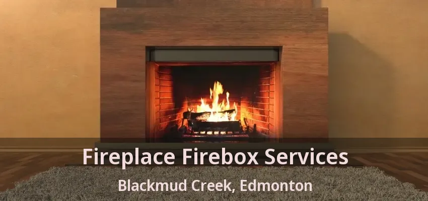 Fireplace Firebox Services Blackmud Creek, Edmonton - AB