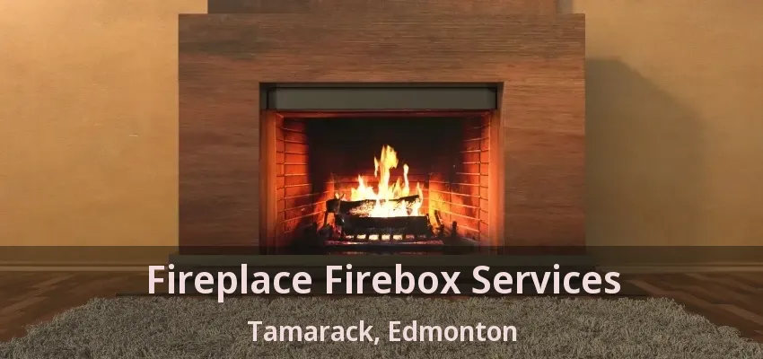 Fireplace Firebox Services Tamarack, Edmonton - AB
