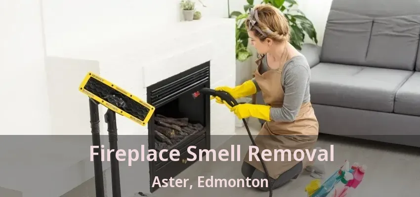 Fireplace Smell Removal Aster, Edmonton - AB