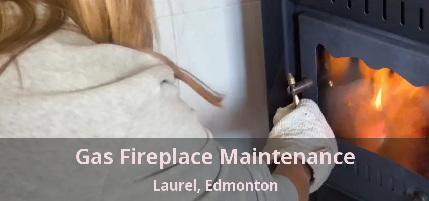 Gas Fireplace Maintenance Laurel, Edmonton - AB