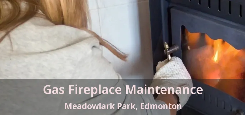 Gas Fireplace Maintenance Meadowlark Park, Edmonton - AB